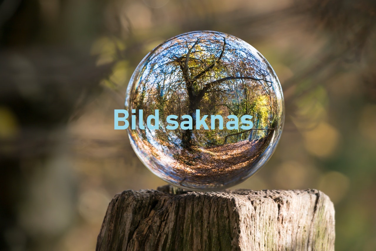 glasklot på stubbe med texten Bild saknas